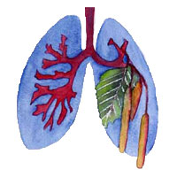 Lungenfachärzte